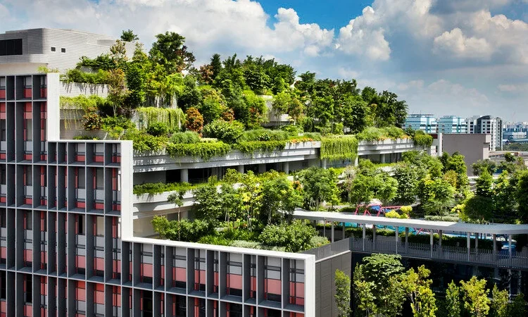 Integrating Renewable Energy Solutions in Singapore Building Designs: A Structural Perspective